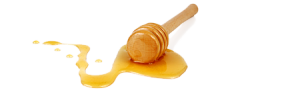 Honey PNG-11566